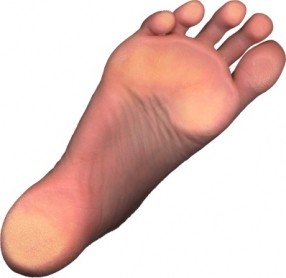 Diabetic Foot Assessment