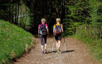 Nordic Walking: Exercise for the Whole Body